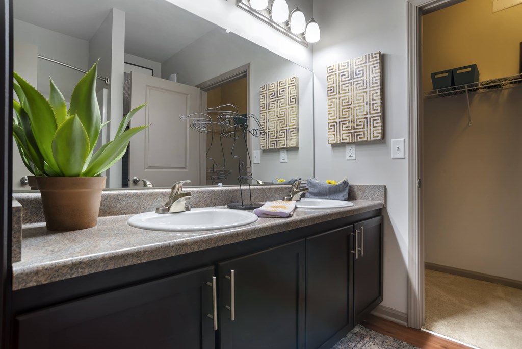 A bathroom with a sink, mirror, and a potted plant.